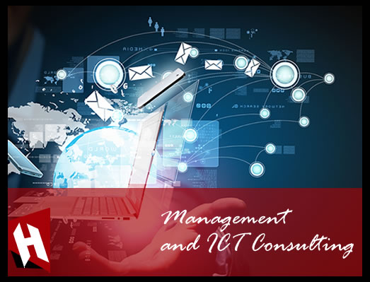 Management and ICT Consulting